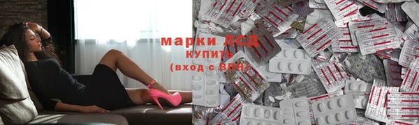 гашик Зеленокумск