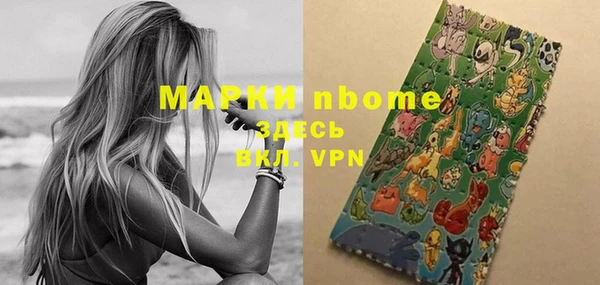 гашик Зеленокумск