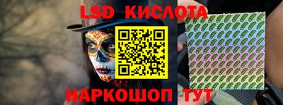 spice Гатчина