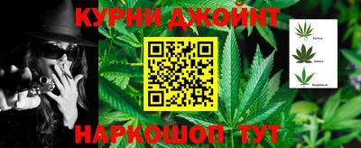 spice Гатчина