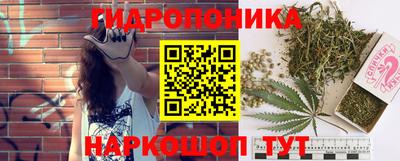 гидропоника Гагарин