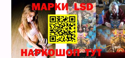 spice Гатчина