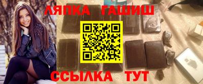 spice Гатчина