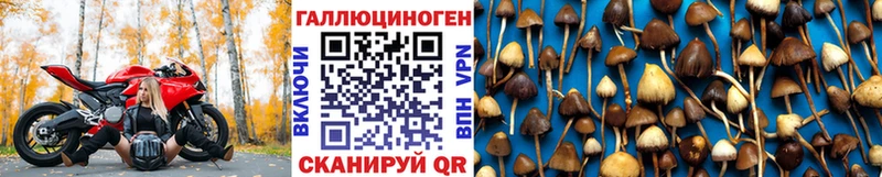Галлюциногенные грибы мухоморы  Калач-на-Дону 