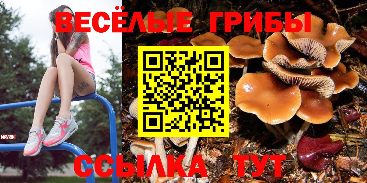 Галлюциногенные грибы мухоморы  Вход с VPN  Калач-на-Дону 